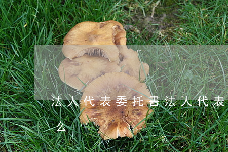 法人代表委托書(法人代表委托書必須要打印么)