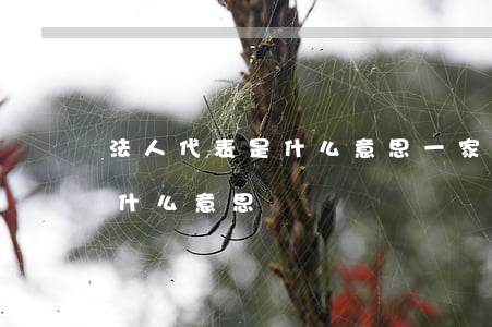 法人代表是什么意思(一家公司的法人代表是什么意思)