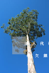 法人代表欠銀行貸款還不了怎么辦-法人代表欠銀行貸款還不了怎么辦呢