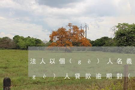 法人以個(gè)人名義貸款逾期(法人個(gè)人貸款逾期對(duì)公司有影響嗎)