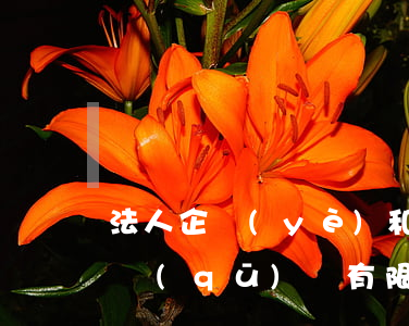 法人企業(yè)和非法人企業(yè)的區(qū)別(有限公司是企業(yè)法人還是非法人企業(yè))