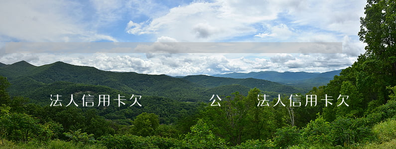 法人信用卡欠錢還沒開公戶嗎（法人 信用卡欠）
