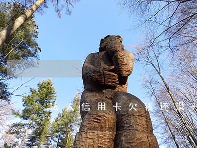 法人信用卡欠钱还没开公户吗（法人 信用卡欠）