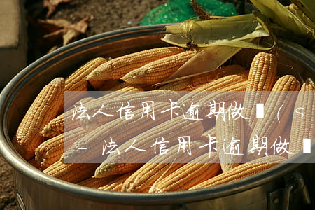 法人信用卡逾期做設(shè)備抵押貸款-法人信用卡逾期做設(shè)備抵押貸款有影響嗎