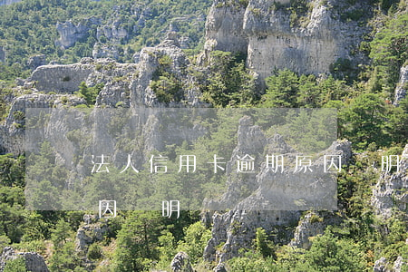 法人信用卡逾期原因說明(法人信用卡逾期原因說明)
