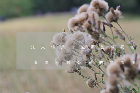 法人信用卡逾期對公司的影響嗎-法人信用卡逾期對公司的影響嗎知乎