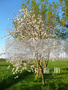 法人信用卡逾期會影響到股東嗎-法人信用卡逾期會影響到股東嗎知乎