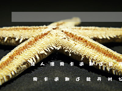 法人信用卡逾期还能开对公账户吗-法人信用卡逾期还能开对公账户吗