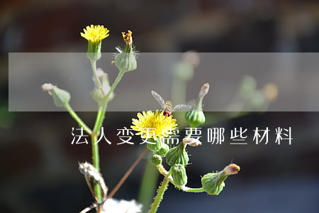 法人变更需要哪些材料