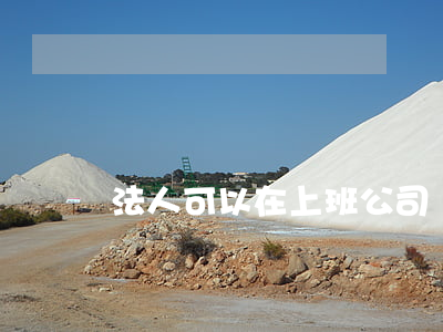 法人可以在上班公司釆購違法嗎