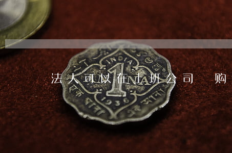 法人可以在上班公司釆购违法吗