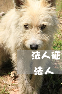 法人征信逾期公司還能買車嗎(征信逾期能做法人嗎)