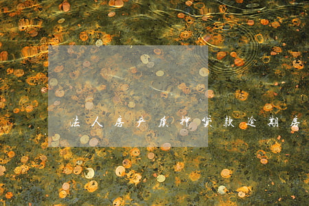 法人房产质押贷款逾期(房屋抵押贷款逾期)
