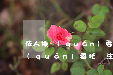 法人授權(quán)委托書范本（法人授權(quán)委托書注意事項(xiàng)）