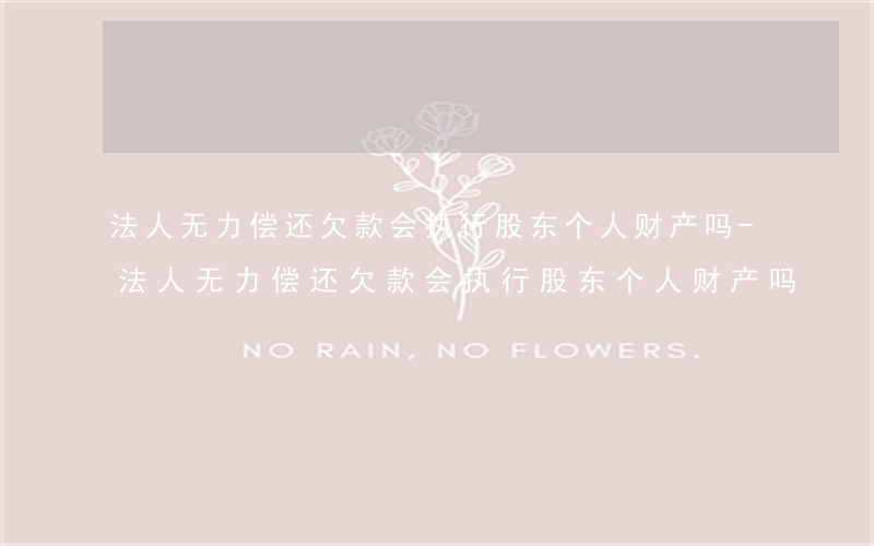 法人无力偿还欠款会执行股东个人财产吗-法人无力偿还欠款会执行股东个人财产吗
