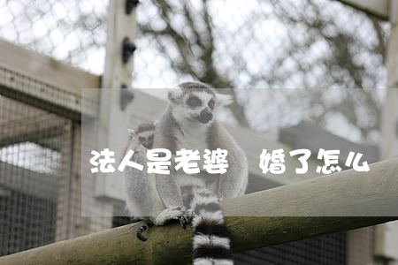 法人是老婆離婚了怎么辦