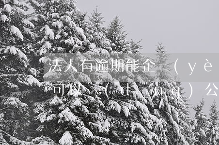 法人有逾期能企業(yè)貸款嗎(征信逾期可以當(dāng)公司法人嗎)