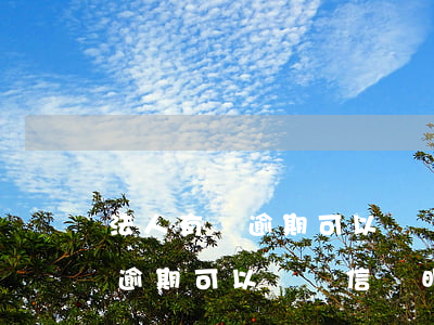 法人有過逾期可以開資信證明嗎-法人有過逾期可以開資信證明嗎怎么辦