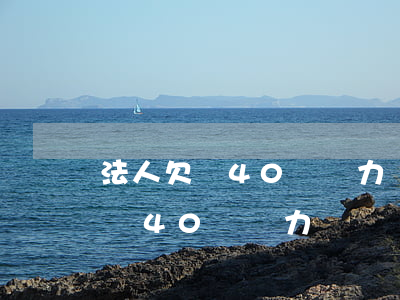 法人欠債40萬無力償還會坐牢嗎-法人欠債40萬無力償還會坐牢嗎知乎