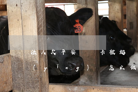 法人欠平安貸貸卡被起訴(起訴平安貸貸卡應(yīng)該怎么做)