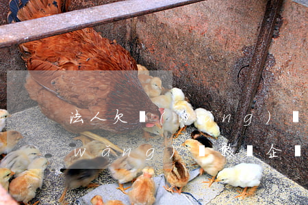 法人欠網(wǎng)貸影響公司(個人網(wǎng)貸影響企業(yè)法人嗎)