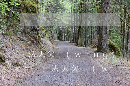 法人欠網(wǎng)貸影響公司對公賬戶嗎-法人欠網(wǎng)貸影響公司對公賬戶嗎怎么辦