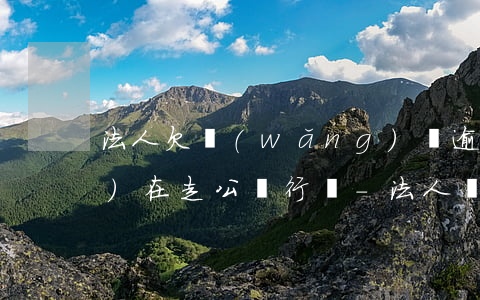法人欠網(wǎng)貸逾期現(xiàn)在走公賬行嗎-法人網(wǎng)貸逾期公司怎么辦