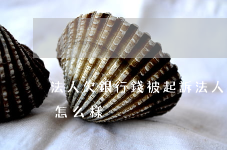 法人欠銀行錢被起訴(法人欠銀行錢被起訴會怎么樣)