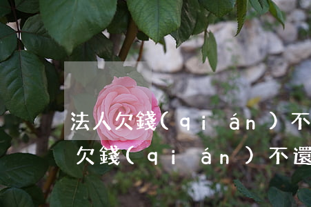 法人欠錢(qián)不還起訴股東-法人欠錢(qián)不還起訴股東有用嗎