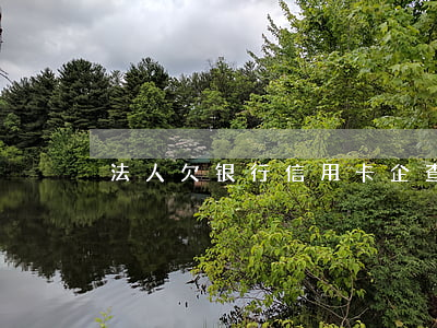 法人欠银行信用卡企查查查到吗-