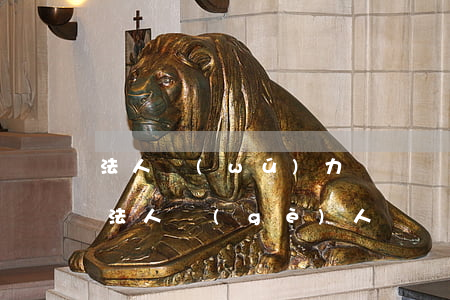 法人無(wú)力償還債務(wù)怎么辦（法人個(gè)人債務(wù)無(wú)力償還）