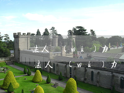 法人無(wú)力償還時(shí)的訴訟(法人無(wú)力償還時(shí)的訴訟請(qǐng)求)