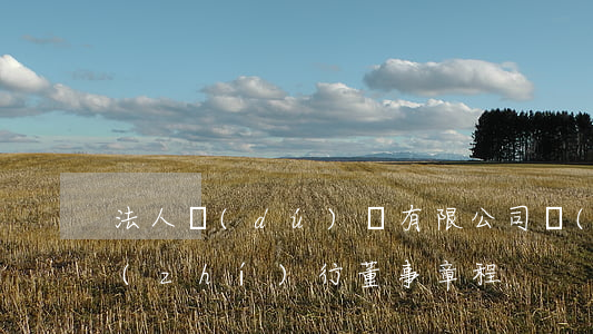 法人獨(dú)資有限公司設(shè)執(zhí)行董事章程