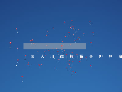 法人用微粒貸多但無逾期