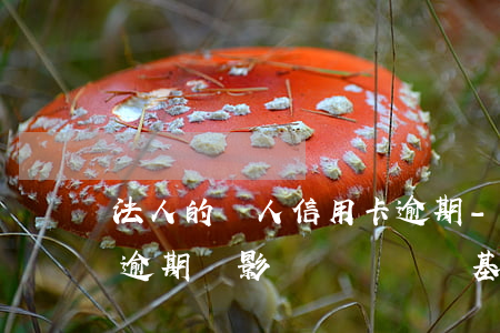 法人的個人信用卡逾期-法人的個人信用卡逾期會影響個體戶開基本戶嗎