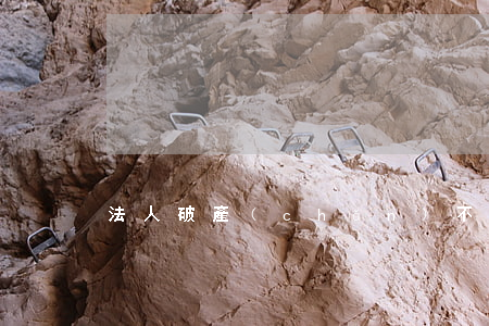 法人破產(chǎn)不允許出國嗎