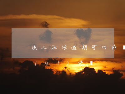 法人社保逾期可以停嗎(法人可以暫停社保醫(yī)保嗎)