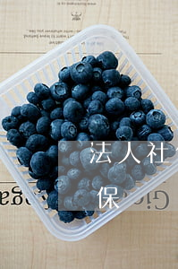 法人社保逾期可以停嗎(法人可以暫停社保醫保嗎)