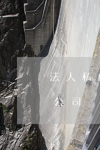 法人私自挪用公司資金判幾年(私企法人挪用公司資金是否違法)