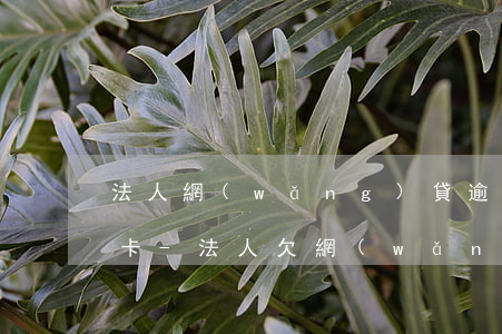 法人網(wǎng)貸逾期公司怎么辦信用卡-法人欠網(wǎng)貸影響公司