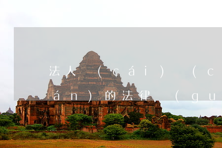 法人財(cái)產(chǎn)權(quán)的法律規(guī)定及其文義解釋