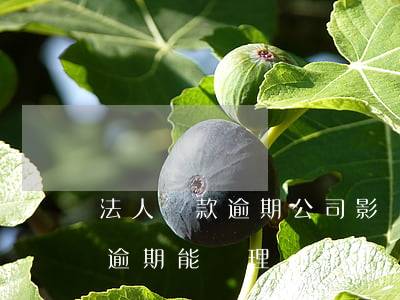 法人貸款逾期公司影響(企業(yè)法人有逾期能辦理貸款嗎)
