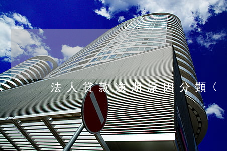 法人貸款逾期原因分類(lèi)