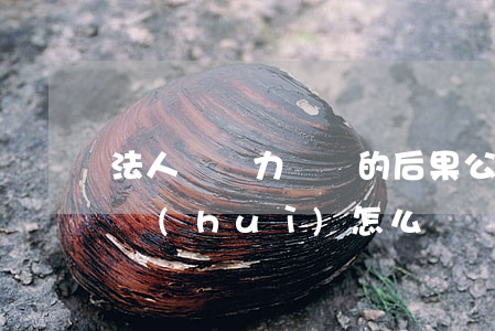 法人貸無力償還的后果(公司法人貸款還不上會(huì)怎么樣)