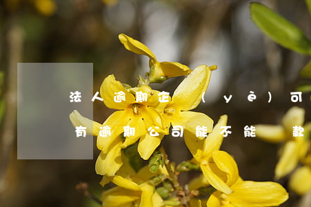 法人逾期企業(yè)可以貸款嗎(公司法人有逾期,公司能不能貸款)