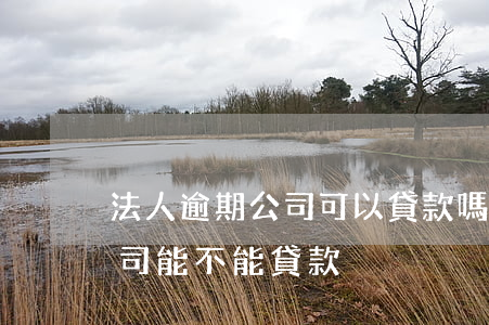 法人逾期公司可以貸款嗎(公司法人有逾期,公司能不能貸款)