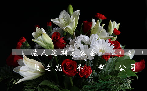 法人逾期怎么企業(yè)貸款(公司法人貸款逾期會不會影響公司運營)