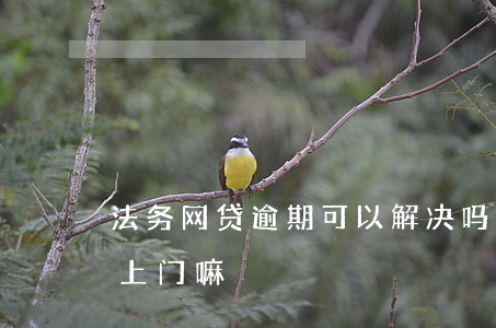 法务网贷逾期可以解决吗(网贷逾期法务部会上门嘛)