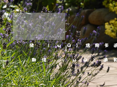 法務(wù)信用卡逾期沒搞定嗎(信用卡逾期法務(wù)通知是真的么)