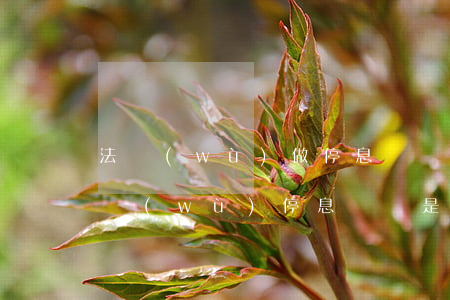 法務(wù)做停息掛賬靠譜嗎(法律咨詢債務(wù)停息掛賬是真是假)